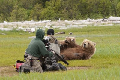 Photographers and Bears