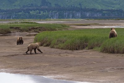 Meeting at the River