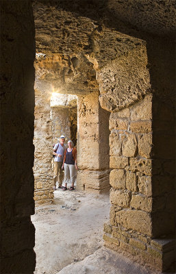 In the Tomb of Kings