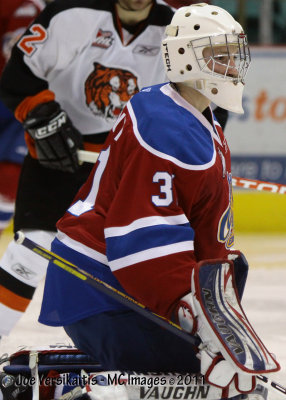 Tigers vs Oil Kings