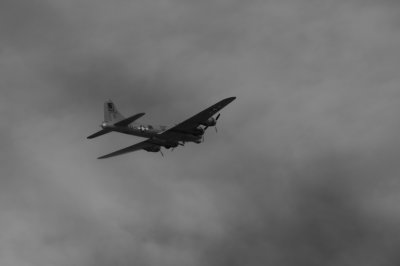 Liberty Belle