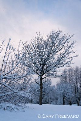 Swansea in the snow 2010