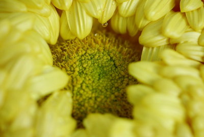 g1/77/741177/3/107691008.8xJwfbzw.jpg