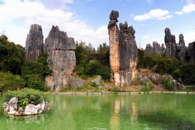 Stone Forest004
