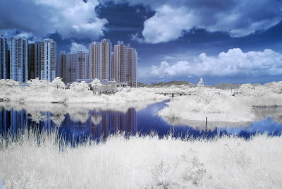 Infrared 003.jpg