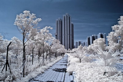 Infrared 004.jpg