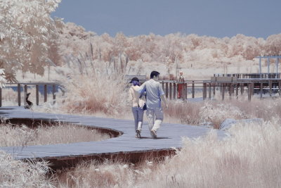 Infrared 005.jpg