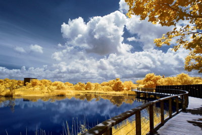Infrared 009.jpg