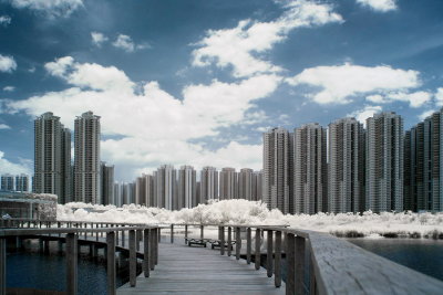 Infrared 010.jpg