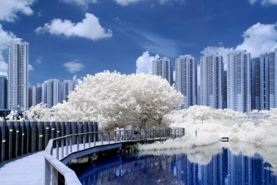Infrared 012.jpg