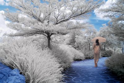 Infrared 014.jpg