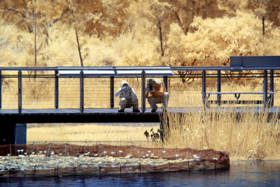 Infrared 015.jpg