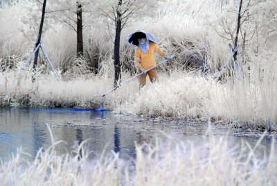 Infrared 016.jpg
