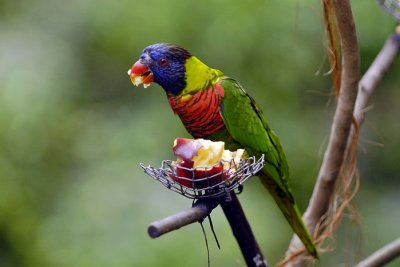 Meal Time 003.jpg