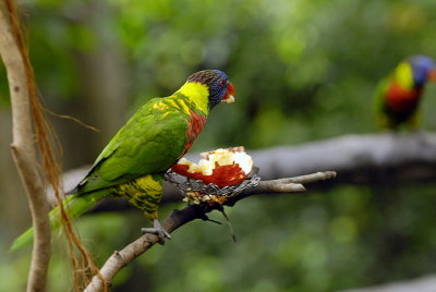 Meal Time 004.jpg