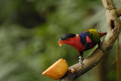 Meal Time 010.jpg
