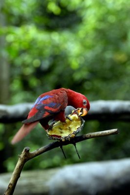 Meal Time 012.jpg
