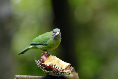 Meal Time 016.jpg