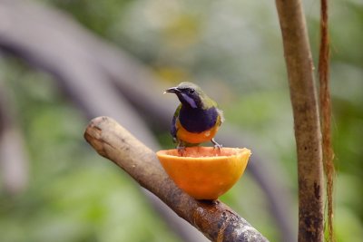 Meal Time 019.jpg