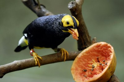Meal Time 025.jpg