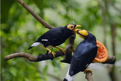 Meal Time 027.jpg