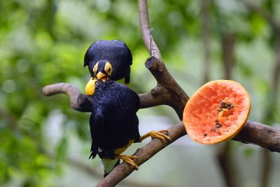 Meal Time 028.jpg