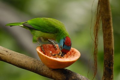 Meal Time 036.jpg