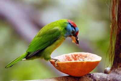 Meal Time 040.jpg