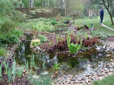 The pond and bog garden