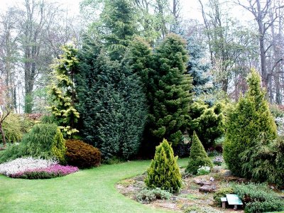 The conifer and heather garden