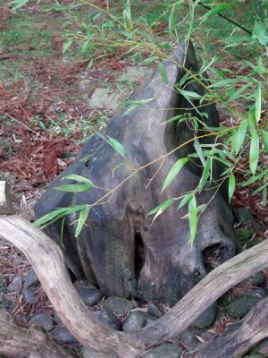 Chatsworth Smiley logs