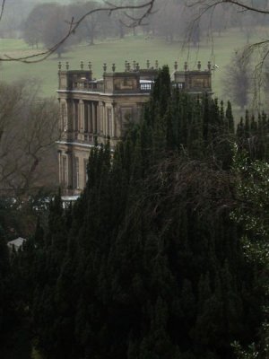 Chatsworth in the trees