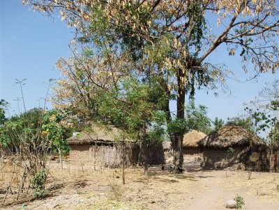 Bukumbi village group of huts, Bukumbi is a community for orphans, the elderly and other vulnerable people