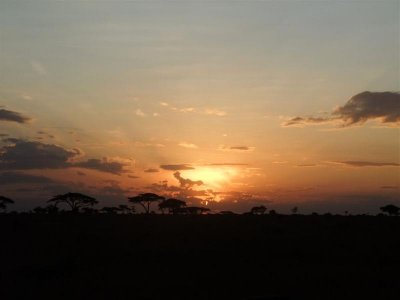  Dawn on the serengeti