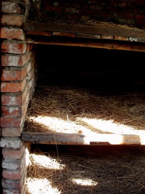 Auschwitz - three tiered bunk beds where prisoners were stacked on boards overlaid with straw.