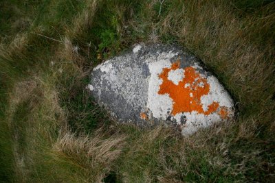 St Mary's - rock with lichens
