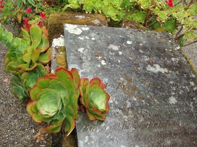 Tresco -  a perfect grave for a gardener
