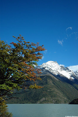LagoDickinson Cerro Painechico187web.jpg
