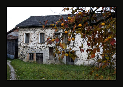 autumn