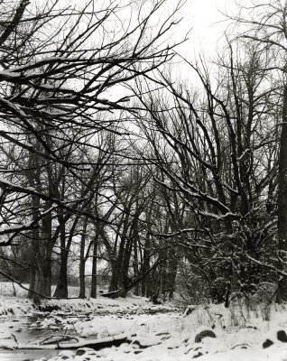 S.  Boulder Creek Winter