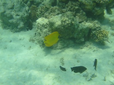g1/77/792477/3/105646281.Q7bp4XOK.jpg
