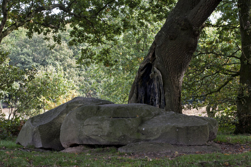 Megalithic tombe, Dolmen, Hunebed D22 Bronneger Oost, Drenthe Netherlands