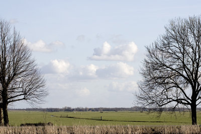 Dutch polder De Ronde Hoep, 2009, #2