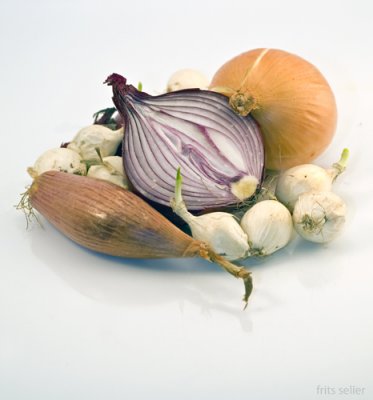Onion still life on white