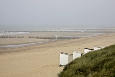 Cadzand, Zeeuws Vlaanderen 2009 #4