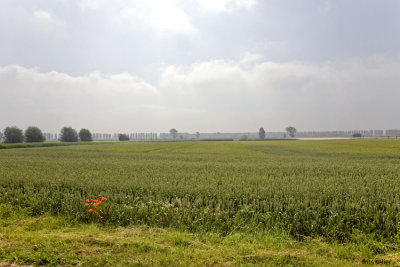 Le plat pays, Flanders Belgium 2009