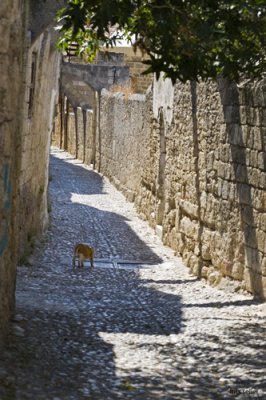 Greece, Rhodes 2009 #11
