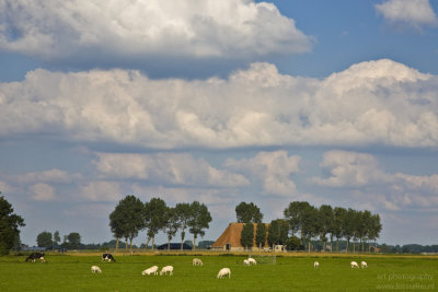 Friesland, Netherlands, september 2010