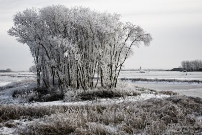 Winter in Friesland, Netherlands december 2010