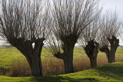 Velterslaan, Abcoude Netherlands 2008